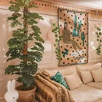 Diverso By Kot Sen Rare Hand-painted Daire